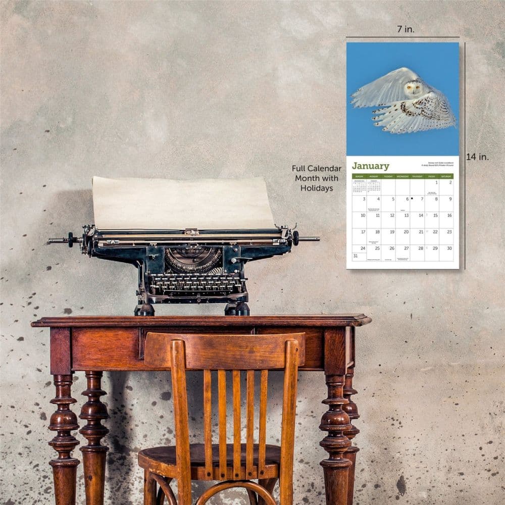 Owls 2027 Mini Wall Calendar Fifth Alternate Image