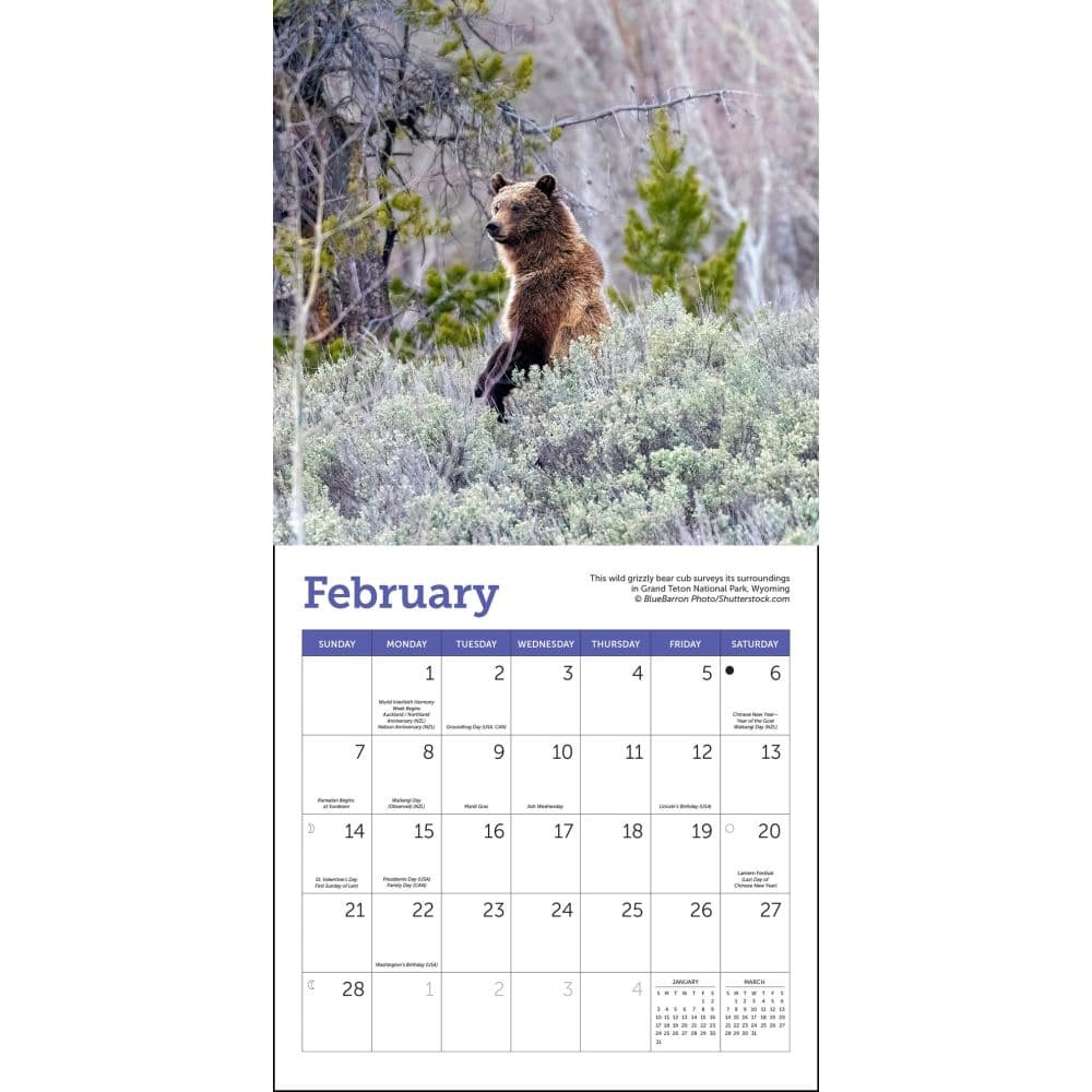 America's National Parks 2027 Mini Wall Calendar Second Alternate Image