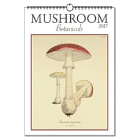 image Mushroom Botanicals Poster 2027 Wall Calendar Main Product Image