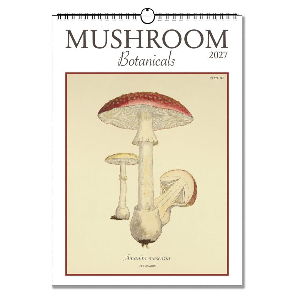 image Mushroom Botanicals Poster 2027 Wall Calendar Main Product Image