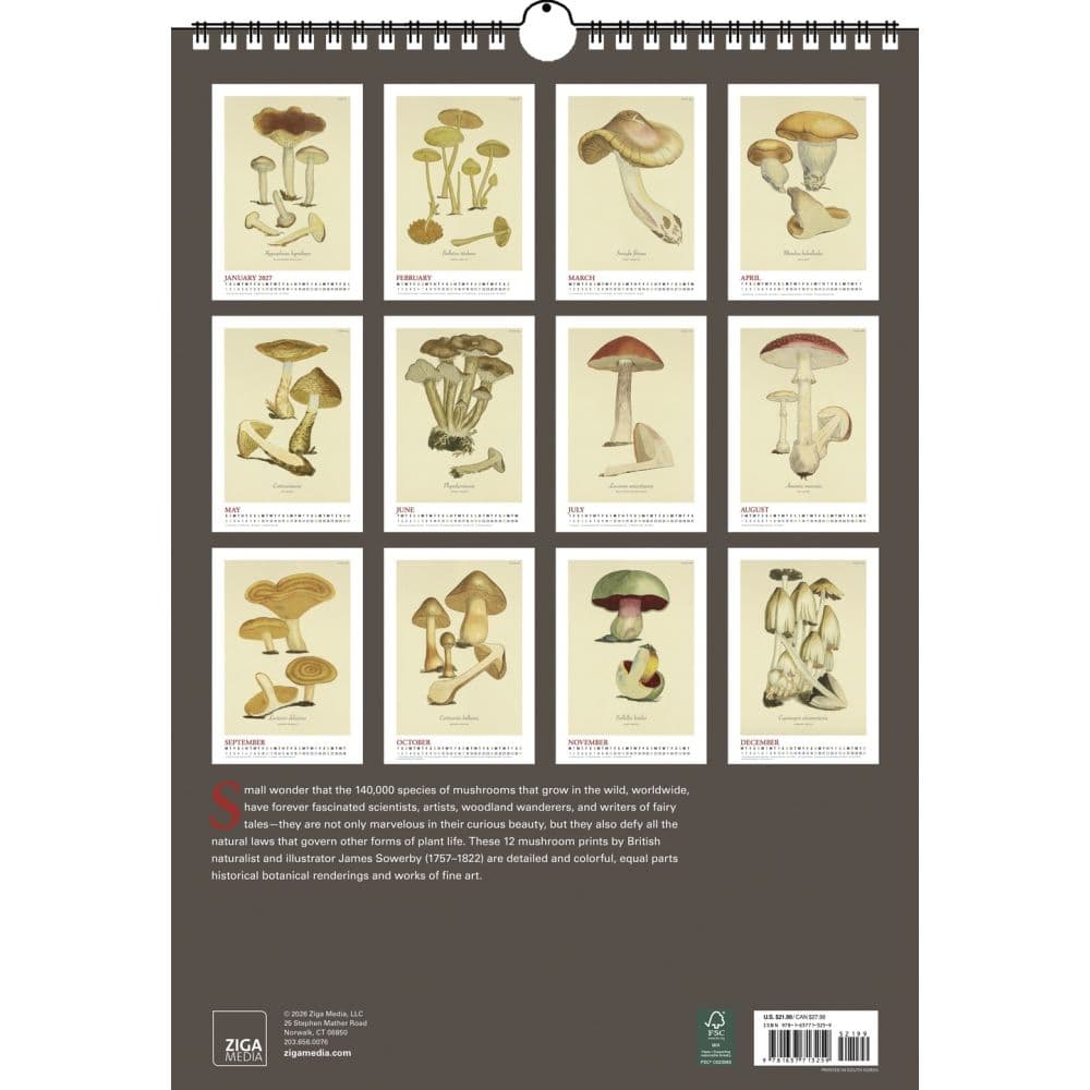 Mushroom Botanicals Poster 2027 Wall Calendar First Alternate Image
