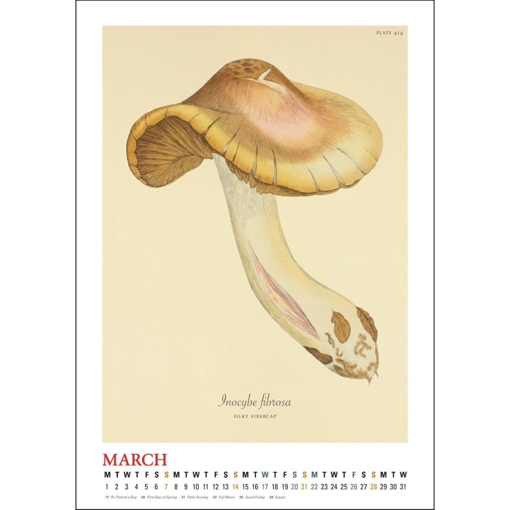 Mushroom Botanicals Poster 2027 Wall Calendar Third Alternate Image