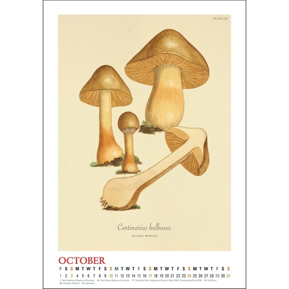Mushroom Botanicals Poster 2027 Wall Calendar Fourth Alternate Image