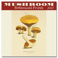 image Mushroom Botanical Prints 2027 Mini Wall Calendar Main Product Image