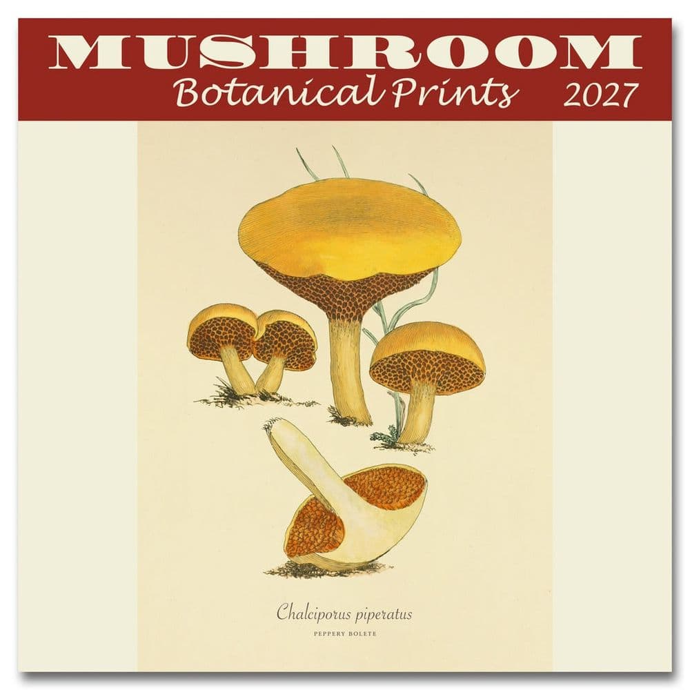 image Mushroom Botanical Prints 2027 Mini Wall Calendar Main Product Image