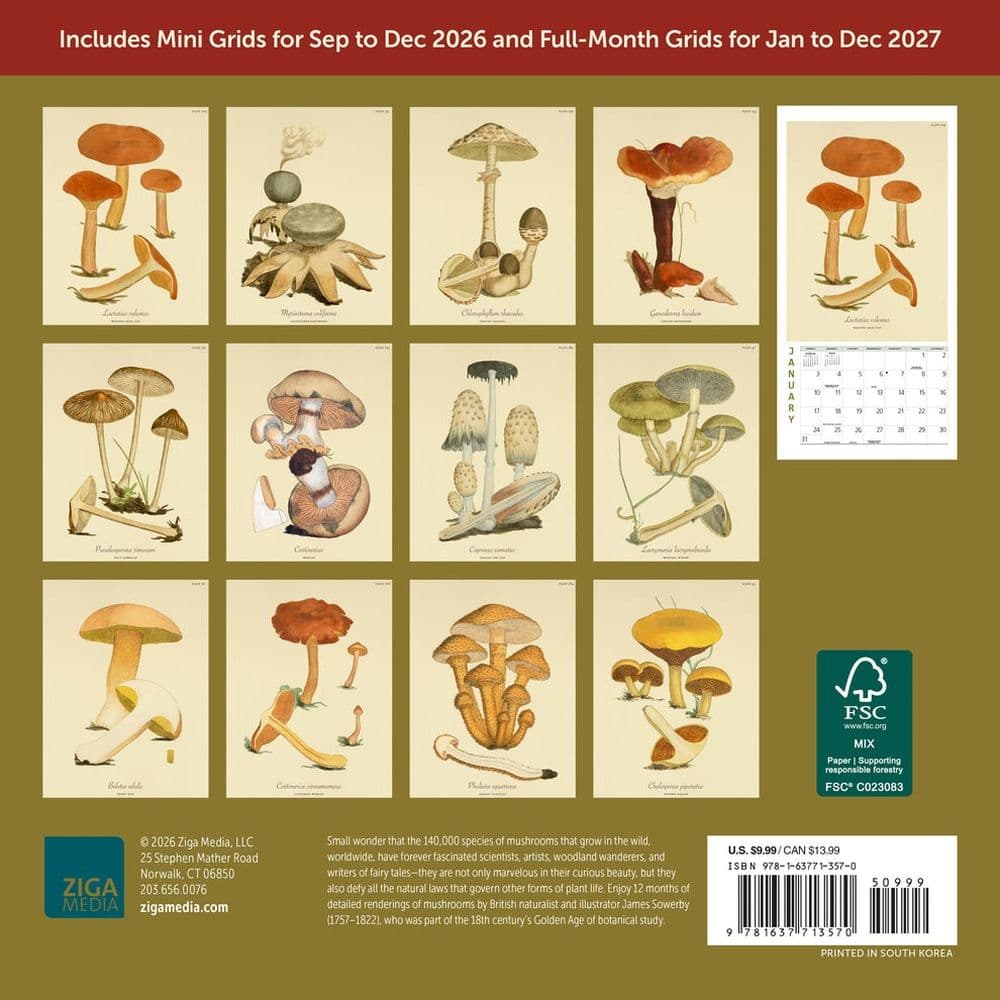 Mushroom Botanical Prints 2027 Mini Wall Calendar First Alternate Image