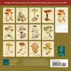 image Mushroom Botanical Prints 2027 Mini Wall Calendar First Alternate Image
