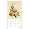 image Mushroom Botanical Prints 2027 Mini Wall Calendar Second Alternate Image