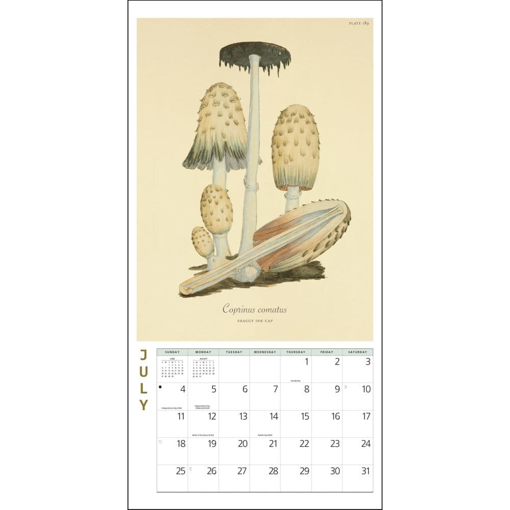 Mushroom Botanical Prints 2027 Mini Wall Calendar Third Alternate Image