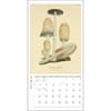 image Mushroom Botanical Prints 2027 Mini Wall Calendar Third Alternate Image