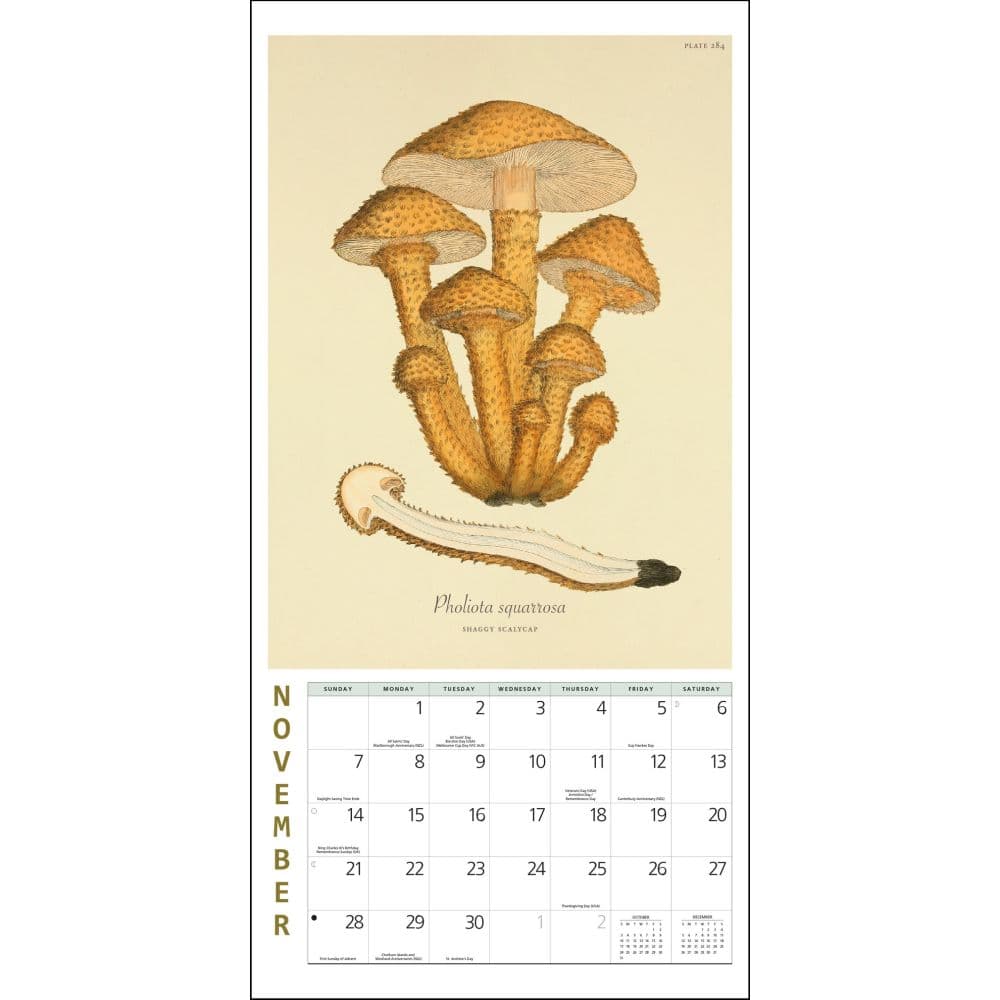 Mushroom Botanical Prints 2027 Mini Wall Calendar Fourth Alternate Image