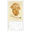 image Mushroom Botanical Prints 2027 Mini Wall Calendar Fourth Alternate Image