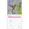 image Hummingbirds 2027 Mini Wall Calendar Second Alternate Image