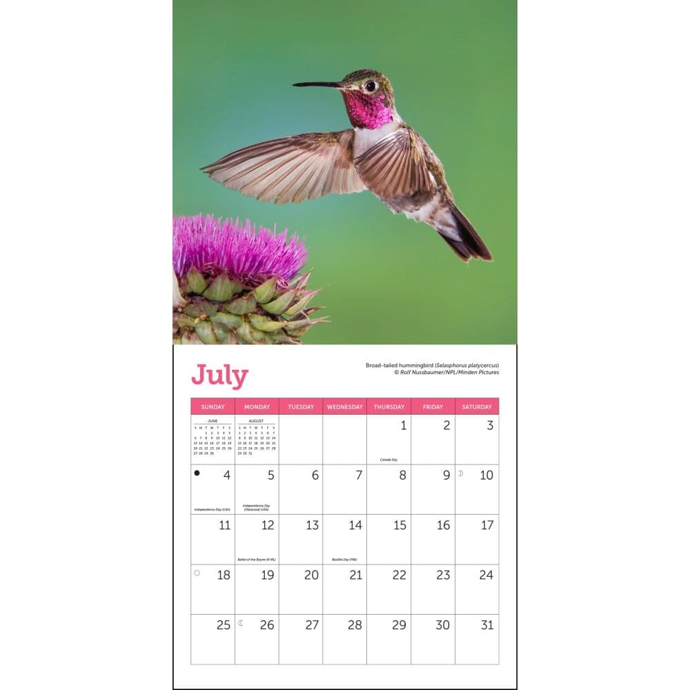 Hummingbirds 2027 Mini Wall Calendar Fourth Alternate Image