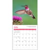 image Hummingbirds 2027 Mini Wall Calendar Fourth Alternate Image