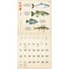 image Fishing Illustrations 2027 Wall Calendar Third Alternate Image