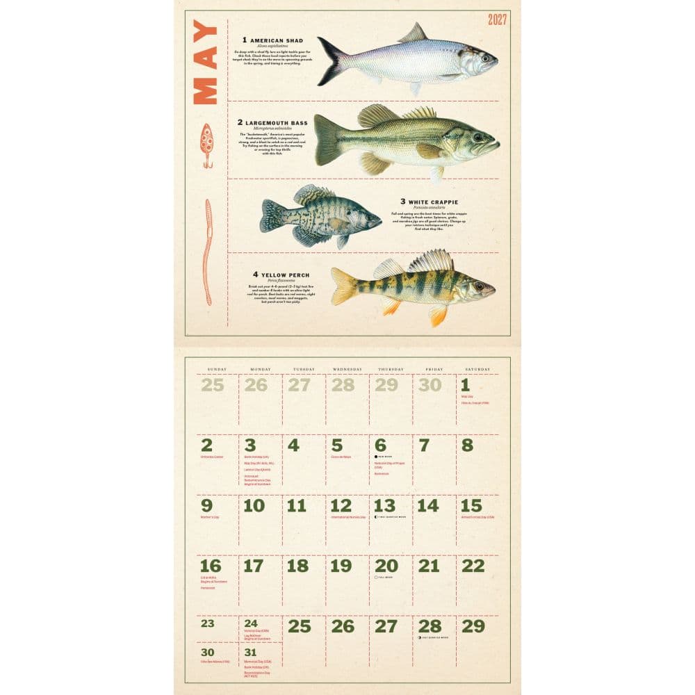 Fishing Illustrations 2027 Wall Calendar Third Alternate Image