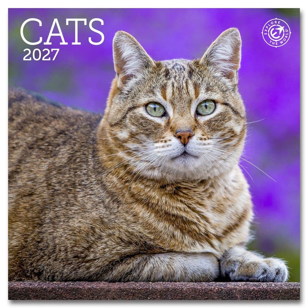 Cats 2027 Mini Wall Calendar Main Product Image