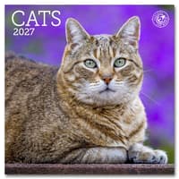 image Cats 2027 Mini Wall Calendar Main Product Image