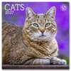 image Cats 2027 Mini Wall Calendar Main Product Image