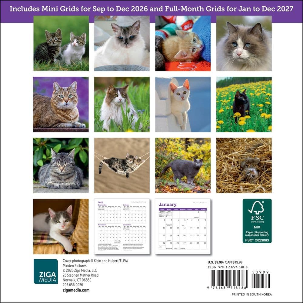Cats 2027 Mini Wall Calendar First Alternate Image