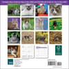image Cats 2027 Mini Wall Calendar First Alternate Image