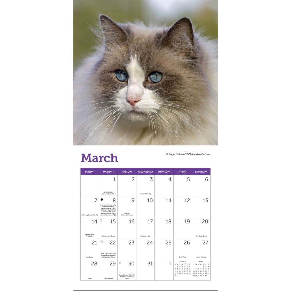 Cats 2027 Mini Wall Calendar Second Alternate Image