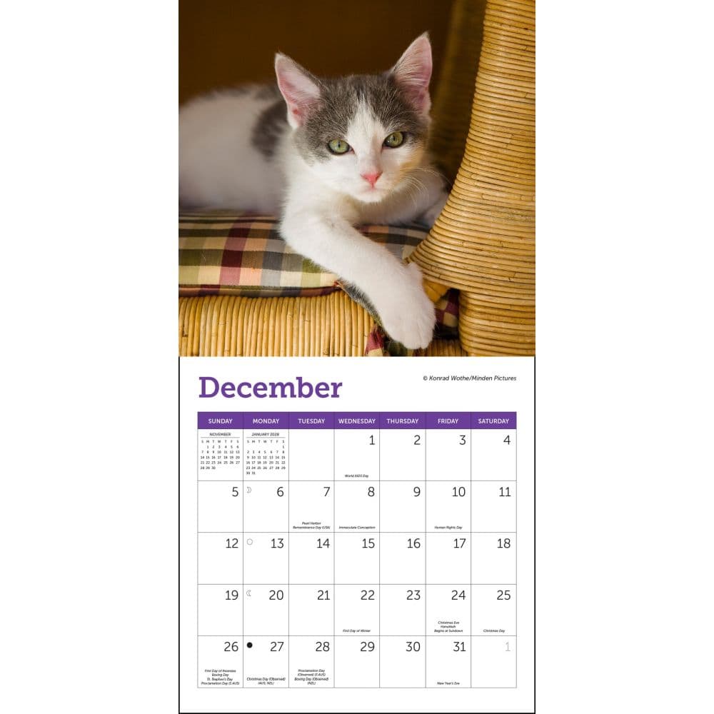 Cats 2027 Mini Wall Calendar Fourth Alternate Image