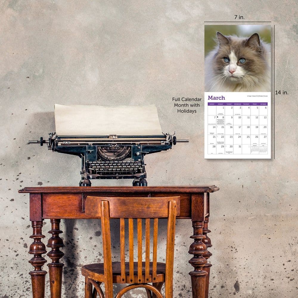 Cats 2027 Mini Wall Calendar Fifth Alternate Image
