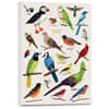 image Orders of the Animals Softcover 2027 Weekly Planner Main Product Image