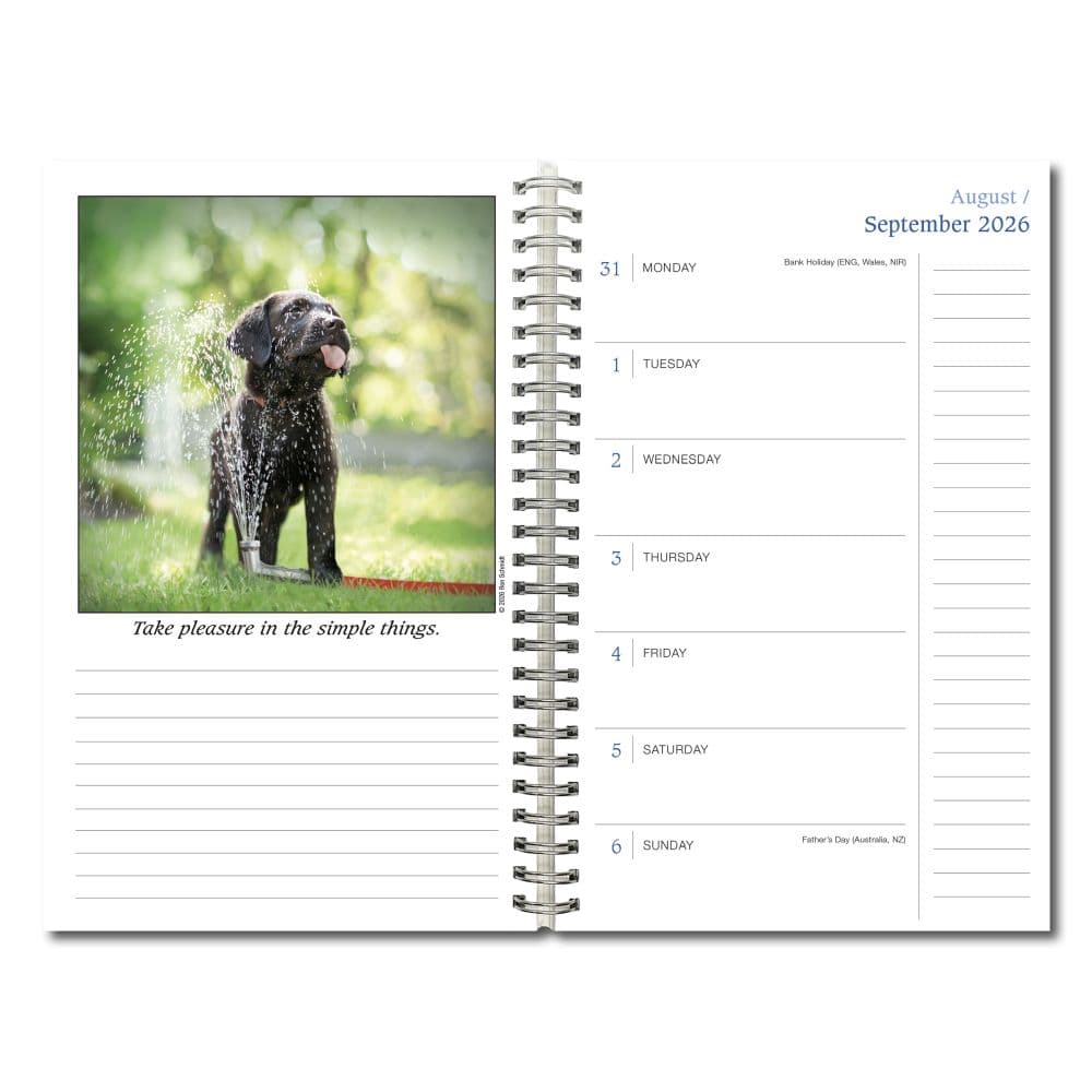 Dogma 2027 Engagement Planner Second Alternate Image