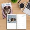 image Cat Naps Classic 2027 Engagement Planner Third Alternate Image