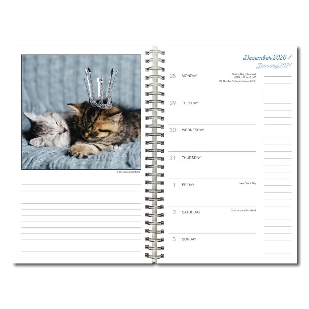 Cat Naps Classic 2027 Engagement Planner Fourth Alternate Image