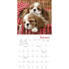 image Pooped Puppies 2027 Mini Wall Calendar Second Alternate Image