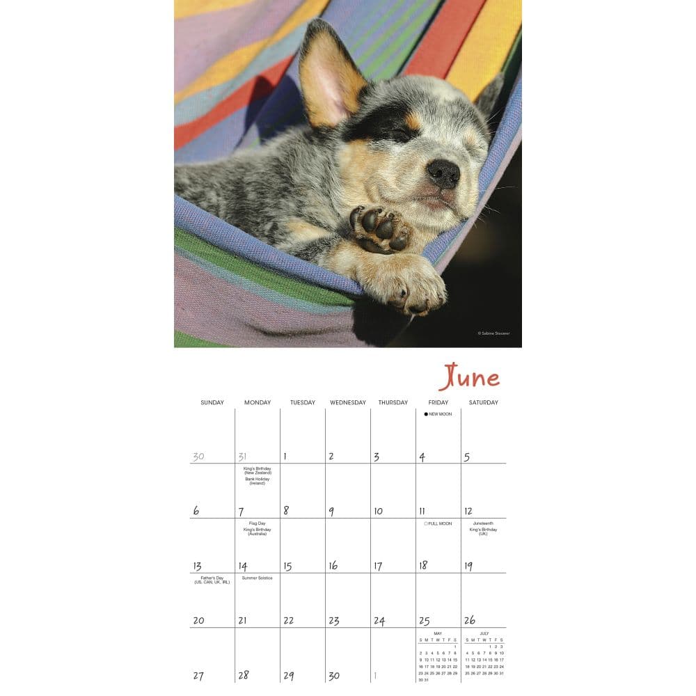Pooped Puppies 2027 Mini Wall Calendar Fourth Alternate Image