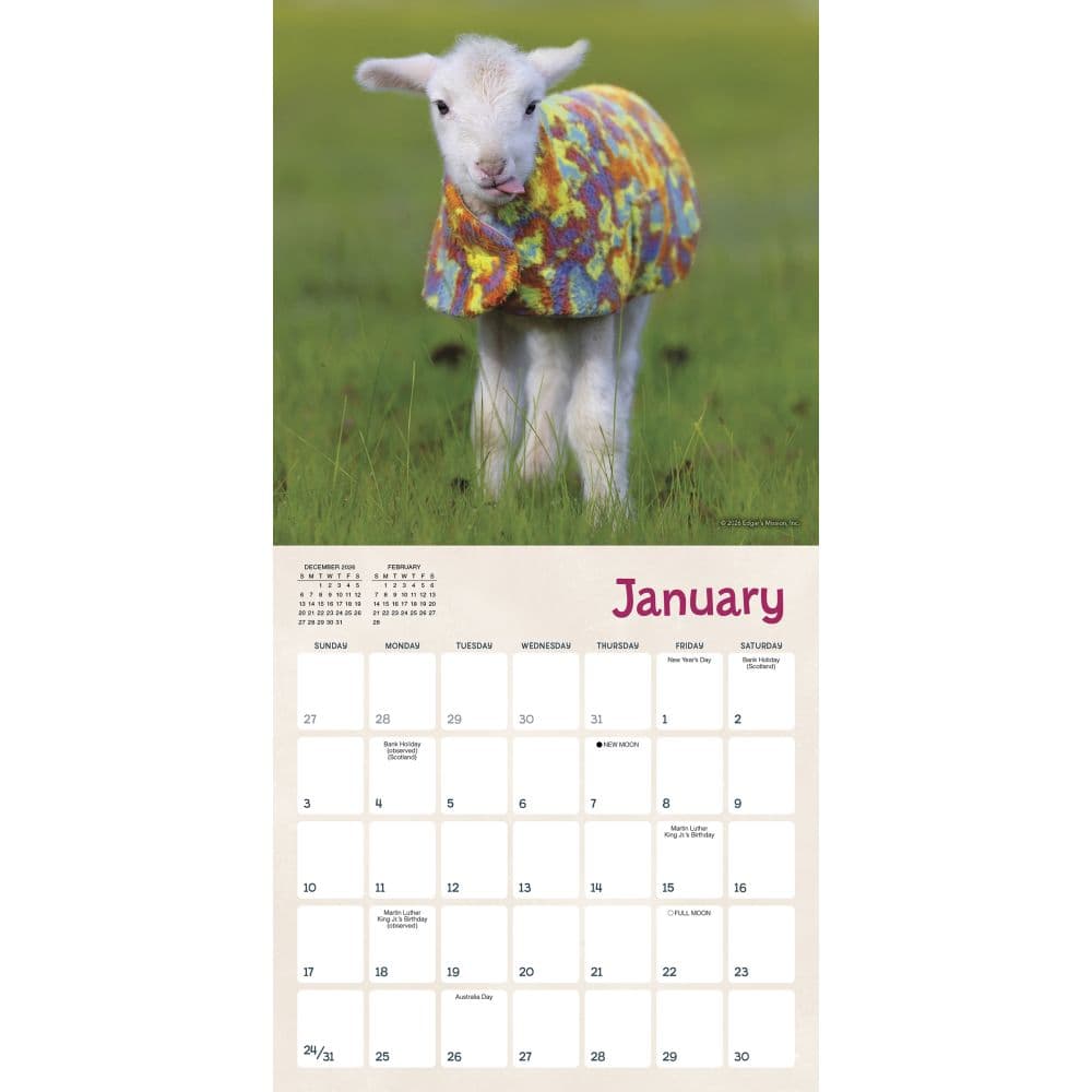 Lambies in Jammies 2027 Mini Wall Calendar Second Alternate Image