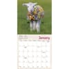 image Lambies in Jammies 2027 Mini Wall Calendar Second Alternate Image