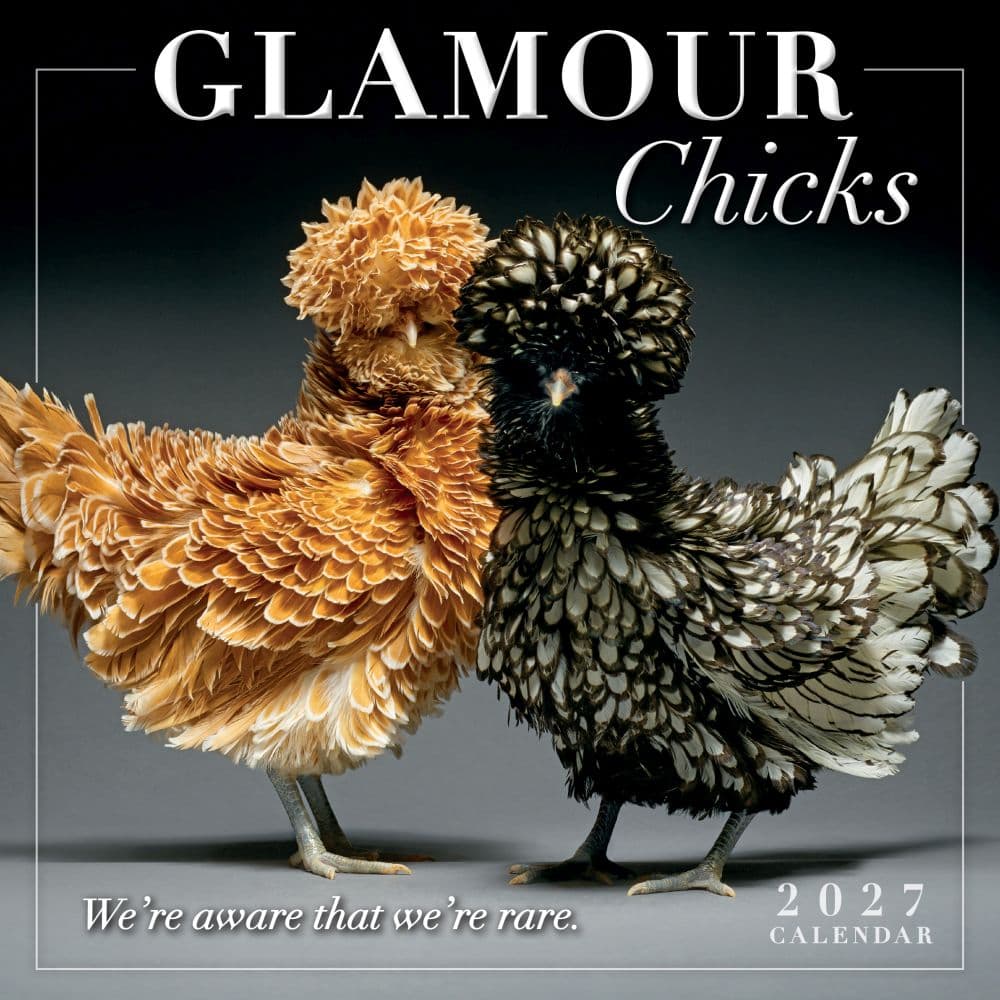image Glamour Chicks 2027 Mini Wall Calendar Main Product Image