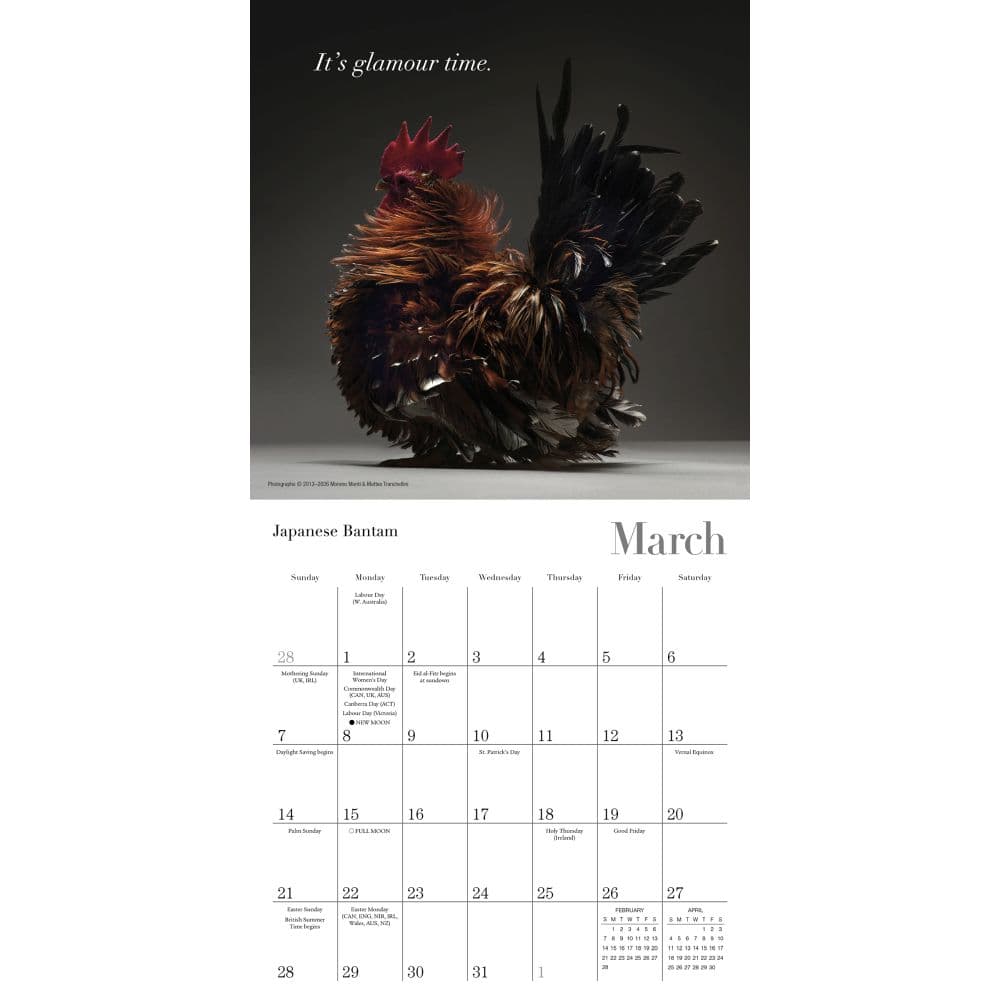 Glamour Chicks 2027 Mini Wall Calendar Second Alternate Image