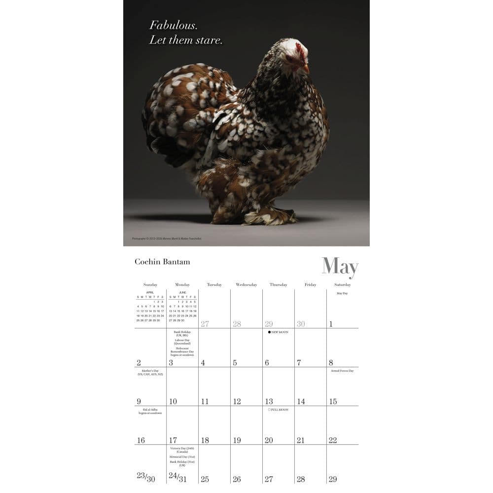 Glamour Chicks 2027 Mini Wall Calendar Fourth Alternate Image