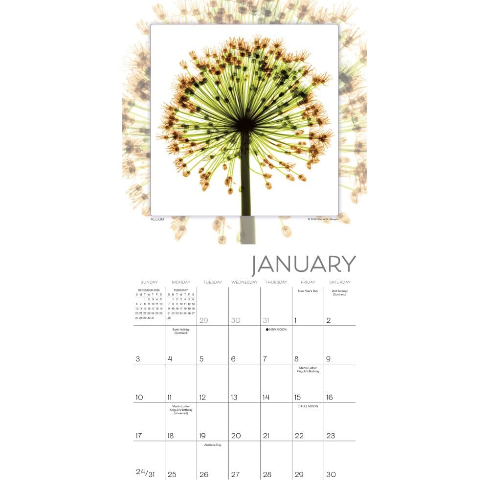 Flower Spirits 2027 Mini Wall Calendar Second Alternate Image