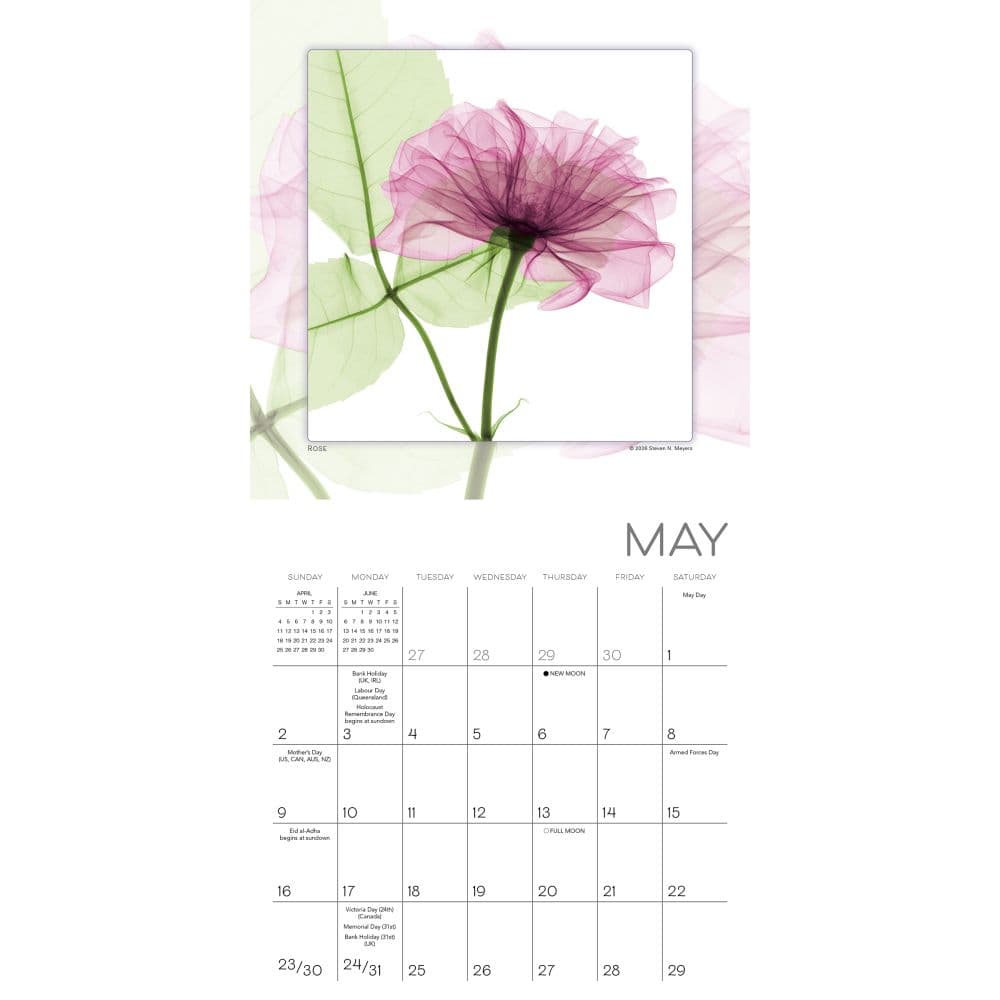 Flower Spirits 2027 Mini Wall Calendar Fourth Alternate Image