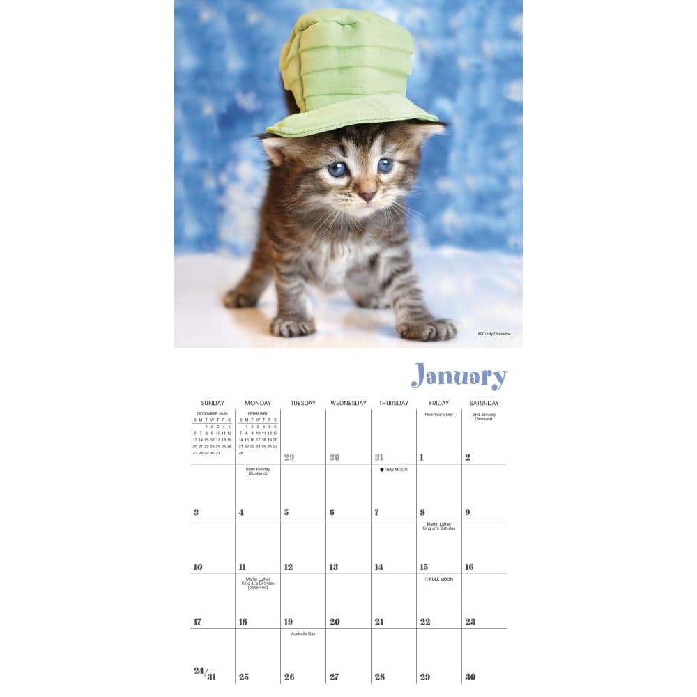 Cats in Hats 2027 Mini Wall Calendar Second Alternate Image