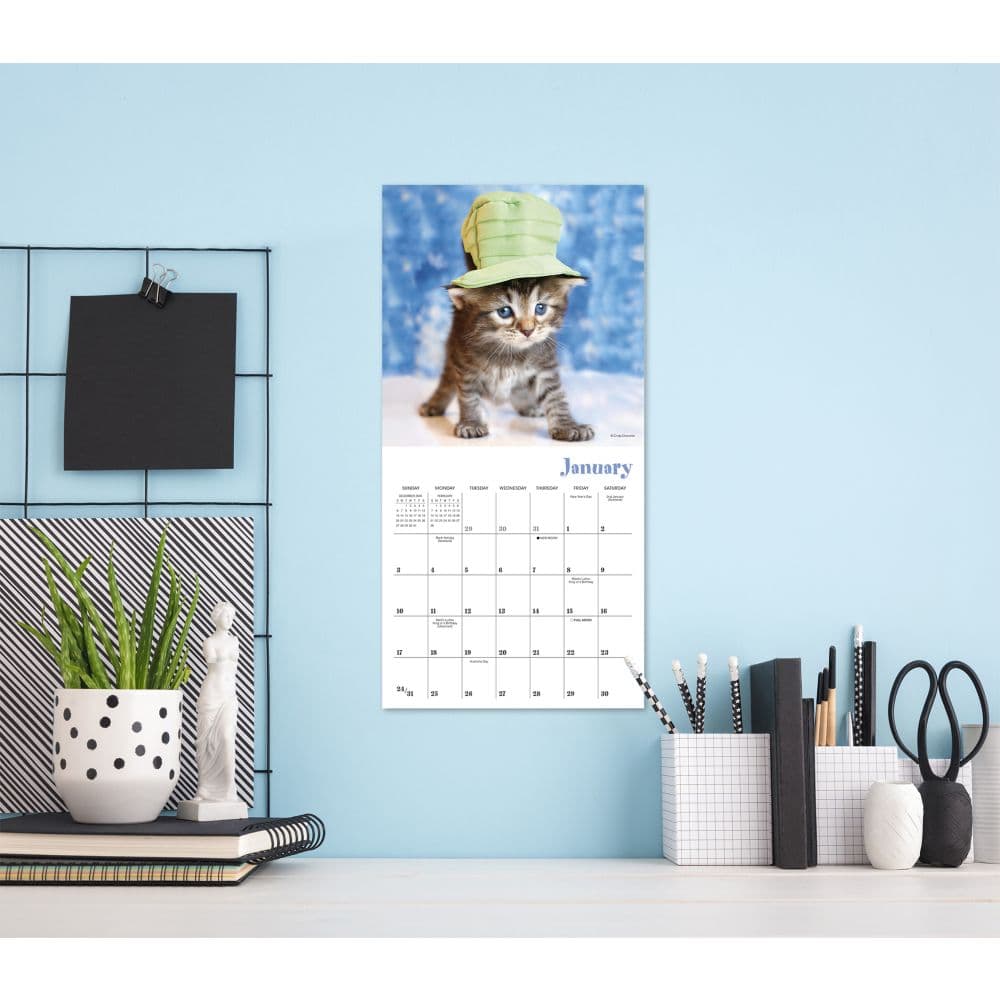 Cats in Hats 2027 Mini Wall Calendar Third Alternate Image