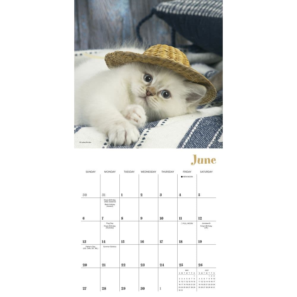 Cats in Hats 2027 Mini Wall Calendar Fourth Alternate Image