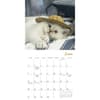 image Cats in Hats 2027 Mini Wall Calendar Fourth Alternate Image
