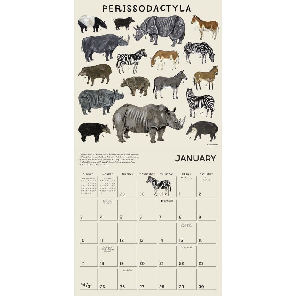 Illustrated Animal Kingdom 2027 Wall Calendar Second Alternate Image