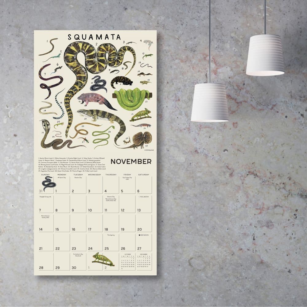 Illustrated Animal Kingdom 2027 Wall Calendar Third Alternate Image