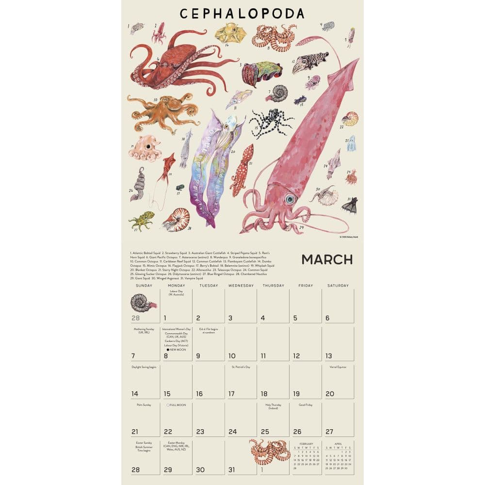 Illustrated Animal Kingdom 2027 Wall Calendar Fourth Alternate Image