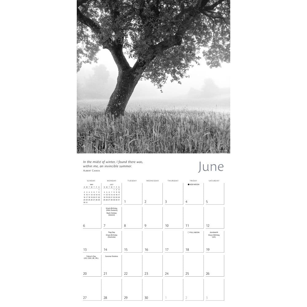 Zen of Nature 2027 Wall Calendar Fourth Alternate Image